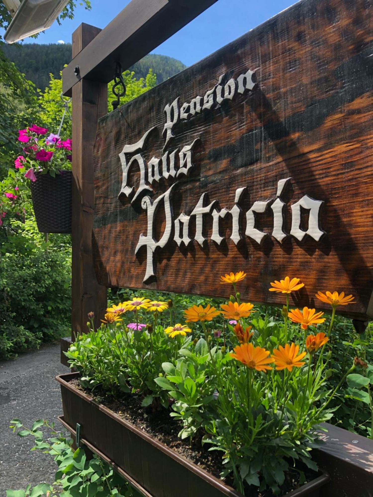 Haus Patricia Hotel Lofer Exterior photo